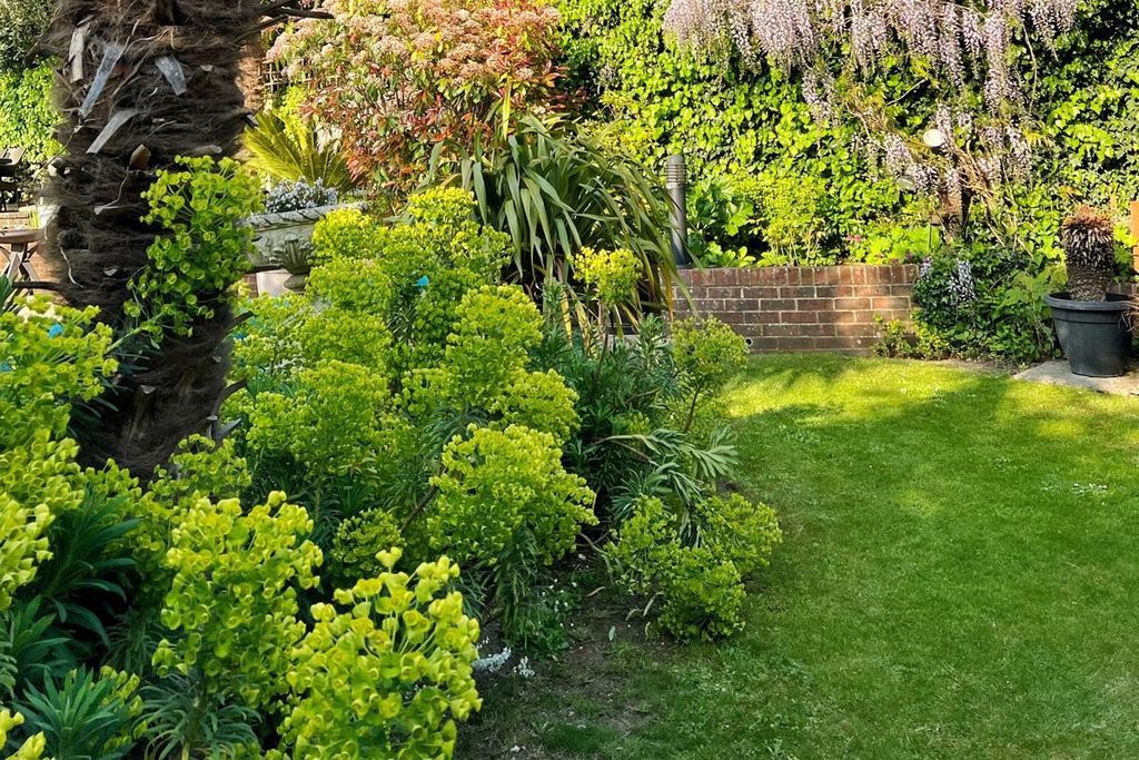 Peacock Lane
